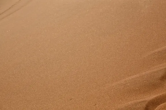 Casino Bingo Millionaire Kundeservice